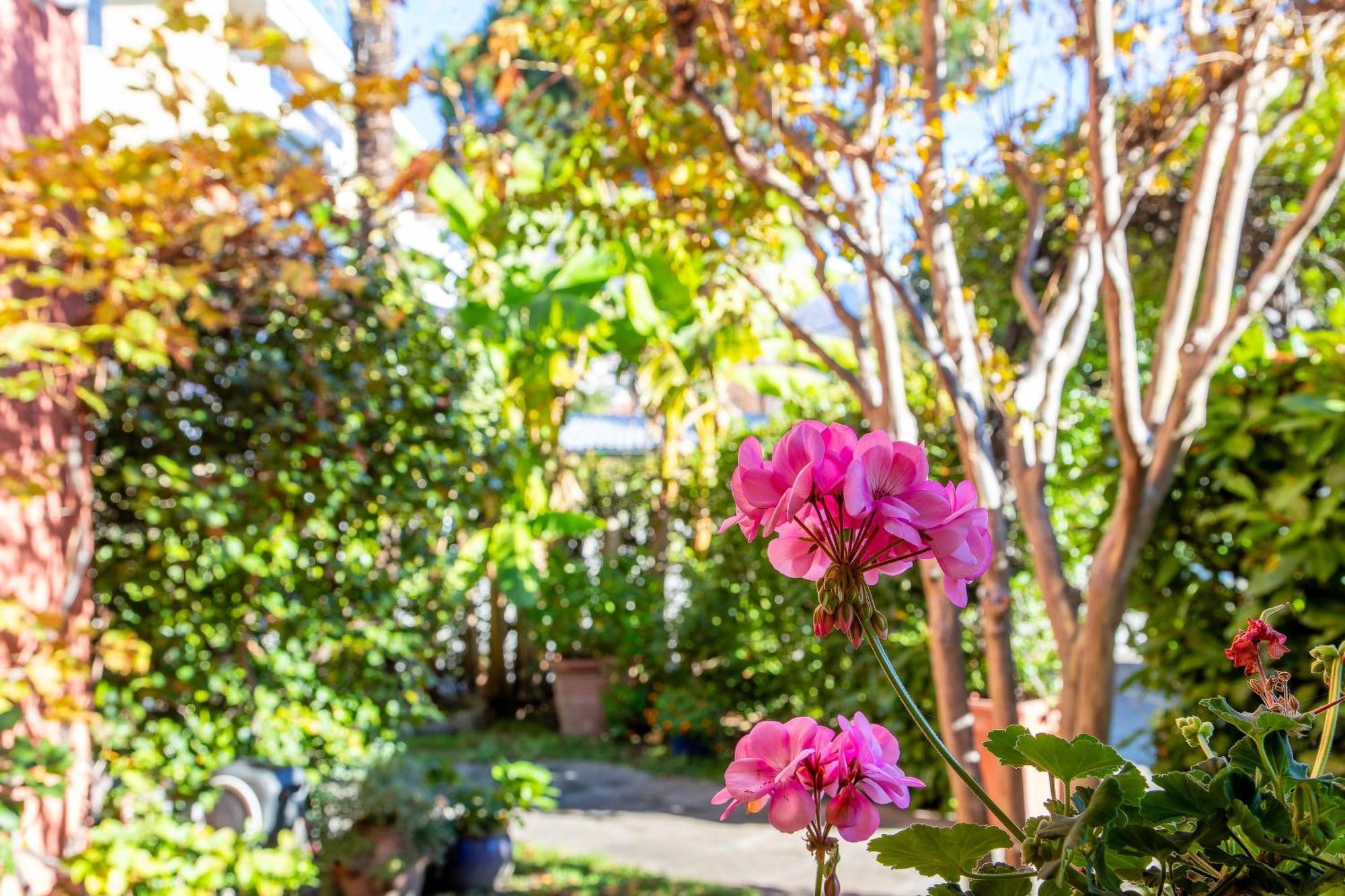 Hotel Garni Dei Fiori Ascona Extérieur photo